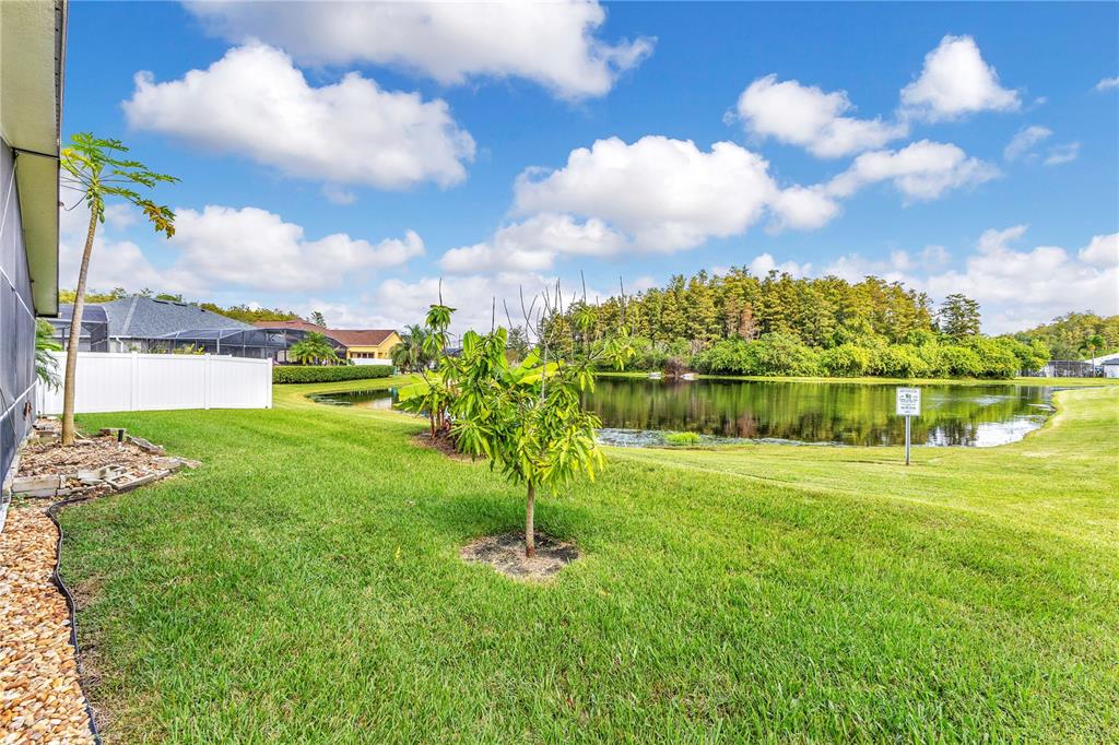 3480 Pawleys Loop North St. Cloud, FL 34769 - Photo 17 of 25 a yard with lots of green space and palm trees