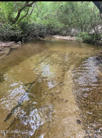 $100,000 | 10.35 Barton-Agricola Road, Lucedale, MS 39452