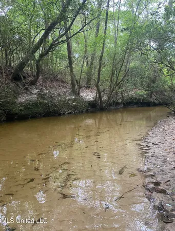 $100,000 | 10.35 Barton-Agricola Road, Lucedale, MS 39452
