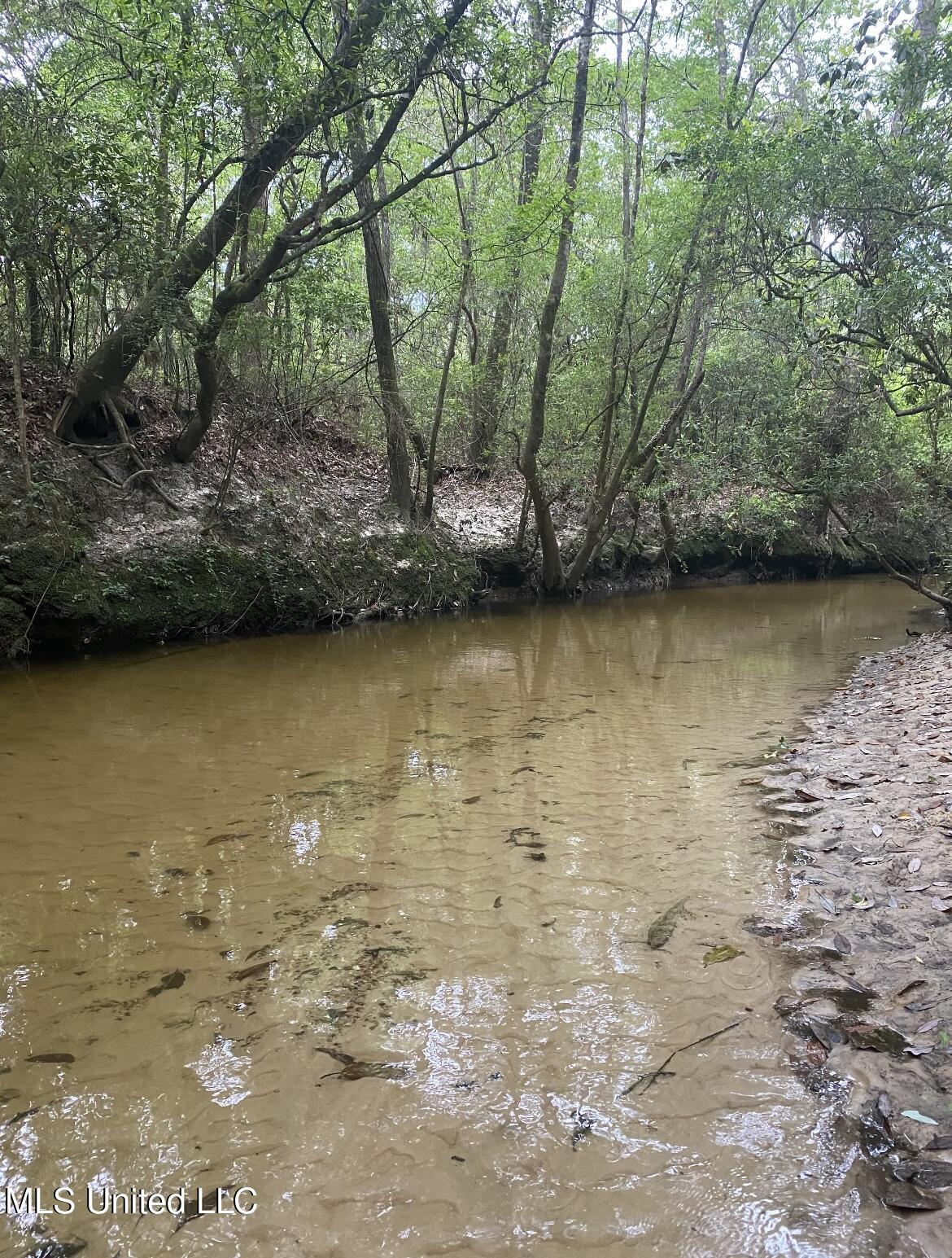 10.35 Barton-Agricola Road Lucedale, MS 39452 - Photo 2 of 5 IMG_1709