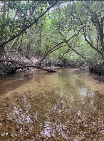 $110,000 | 10.35 Barton-Agricola Road, Lucedale, MS 39452