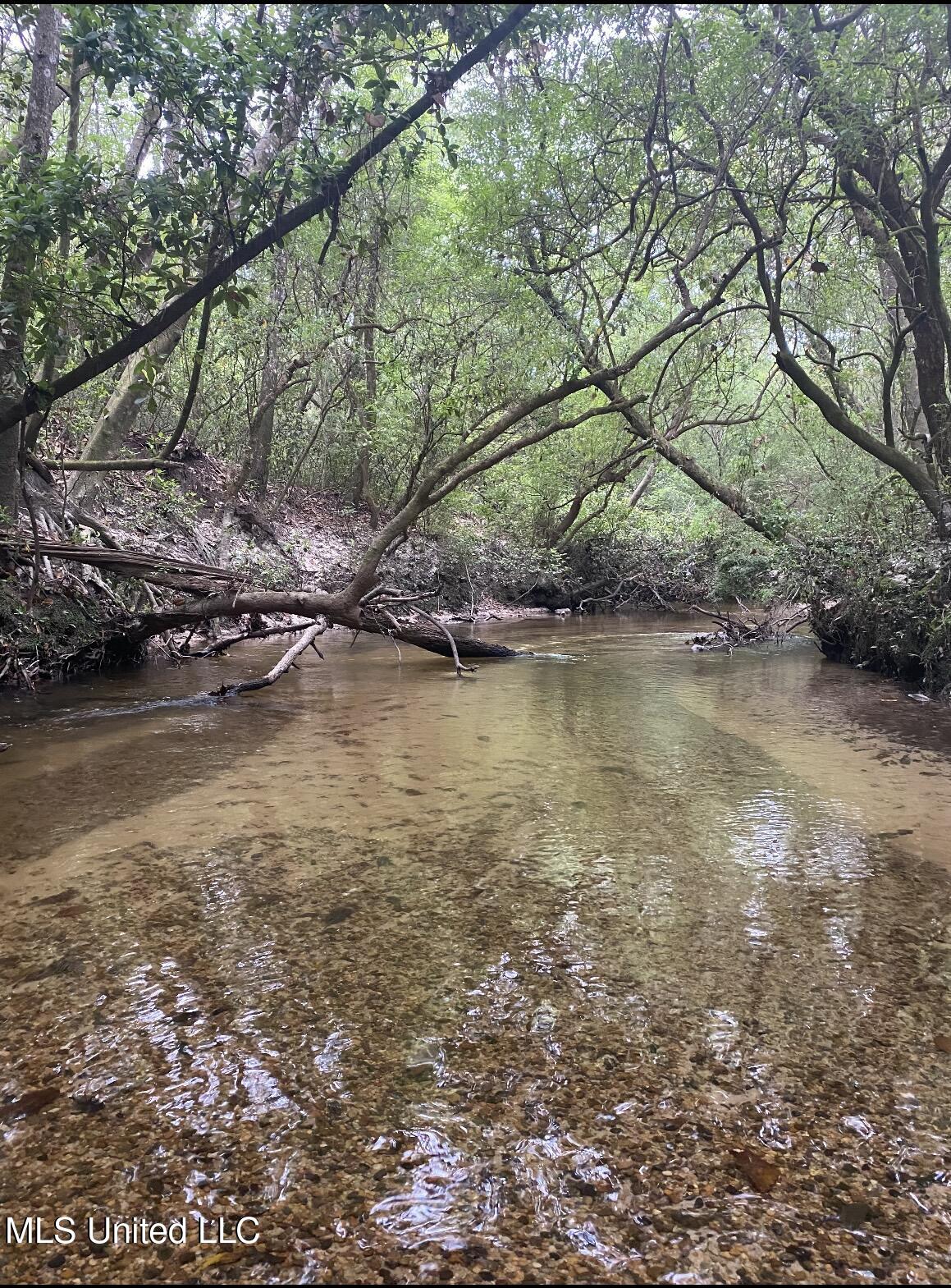 10.35 Barton-Agricola Road Lucedale, MS 39452 - Photo 3 of 5 IMG_1707