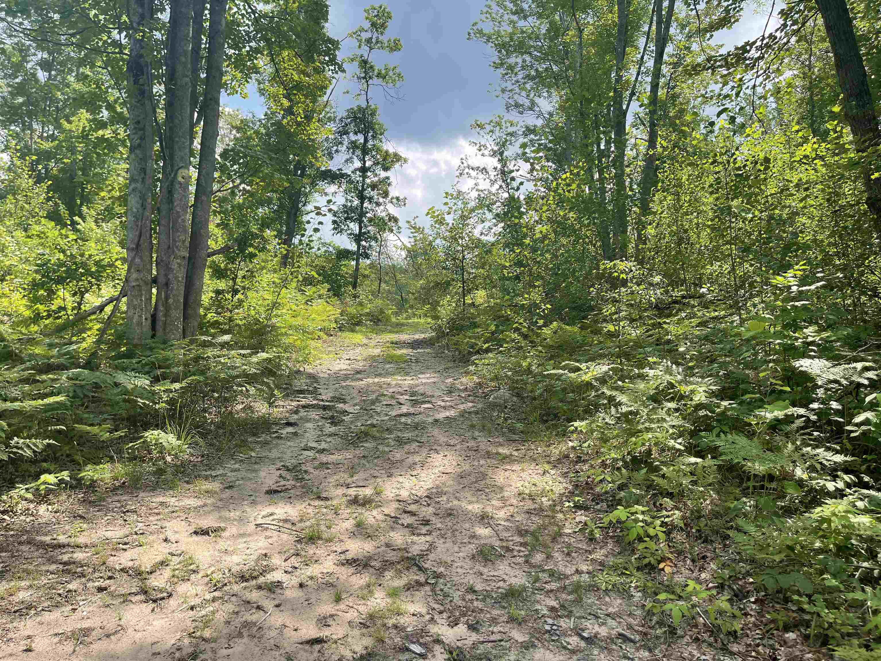 4011 Brodie Road South Branch, MI 48761 - Photo 15 of 25 1914195-15.JPG