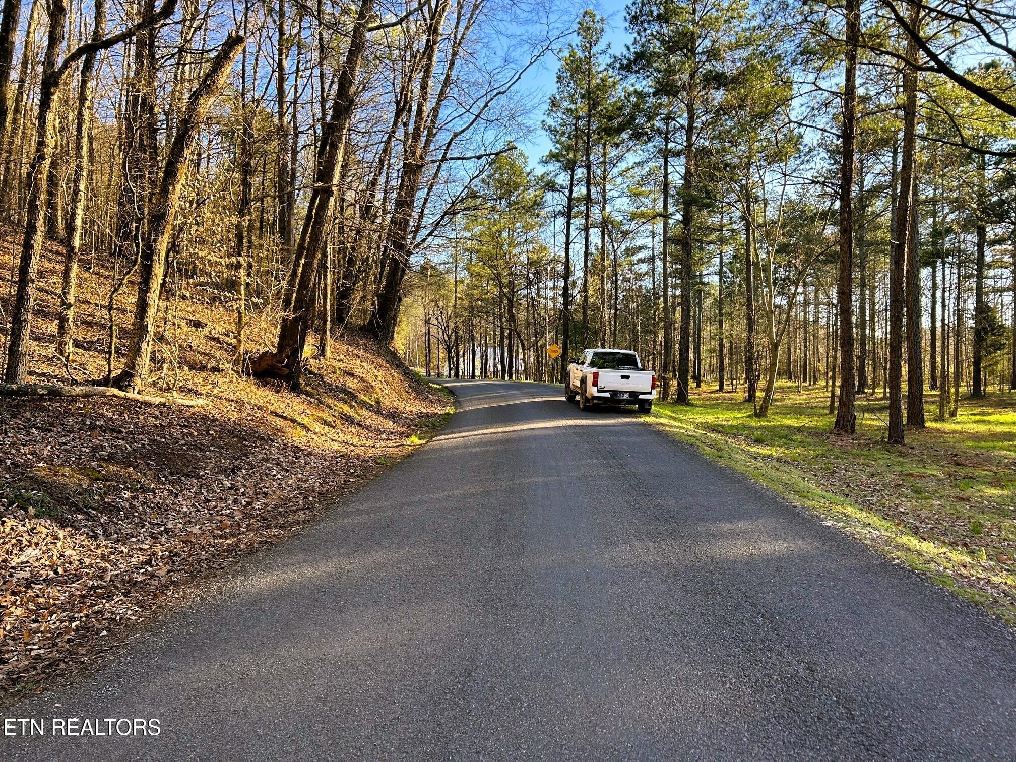 4 County Road 950 Charleston, TN 37310 - Photo 5 of 15