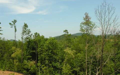 11 Ridgeline Estates Copperhill, TN 37317 - Photo 1 of 1 Main View