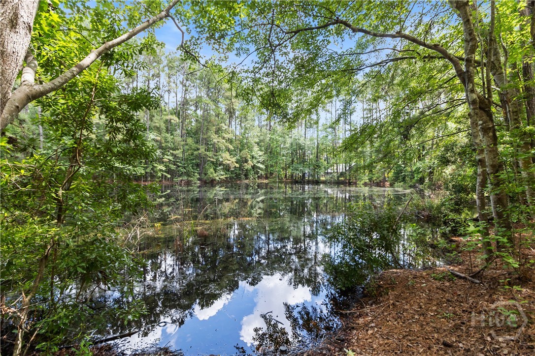 106 Old Augusta Road South Rincon, GA 31326 - Photo 20 of 23