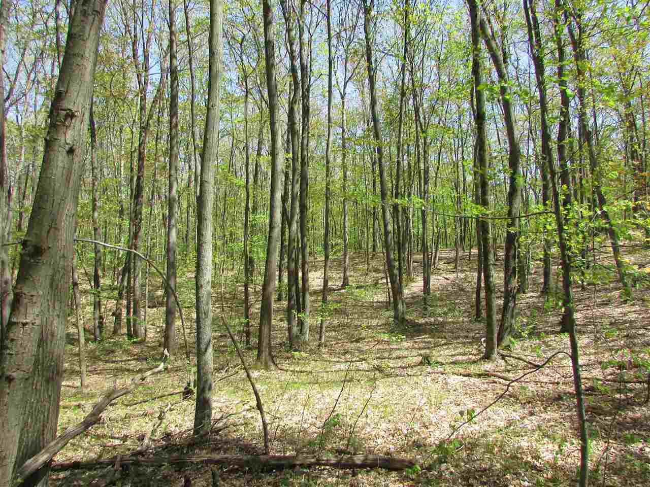2 East Townline Lake Road Harrison, MI 48625 - Photo 10 of 13