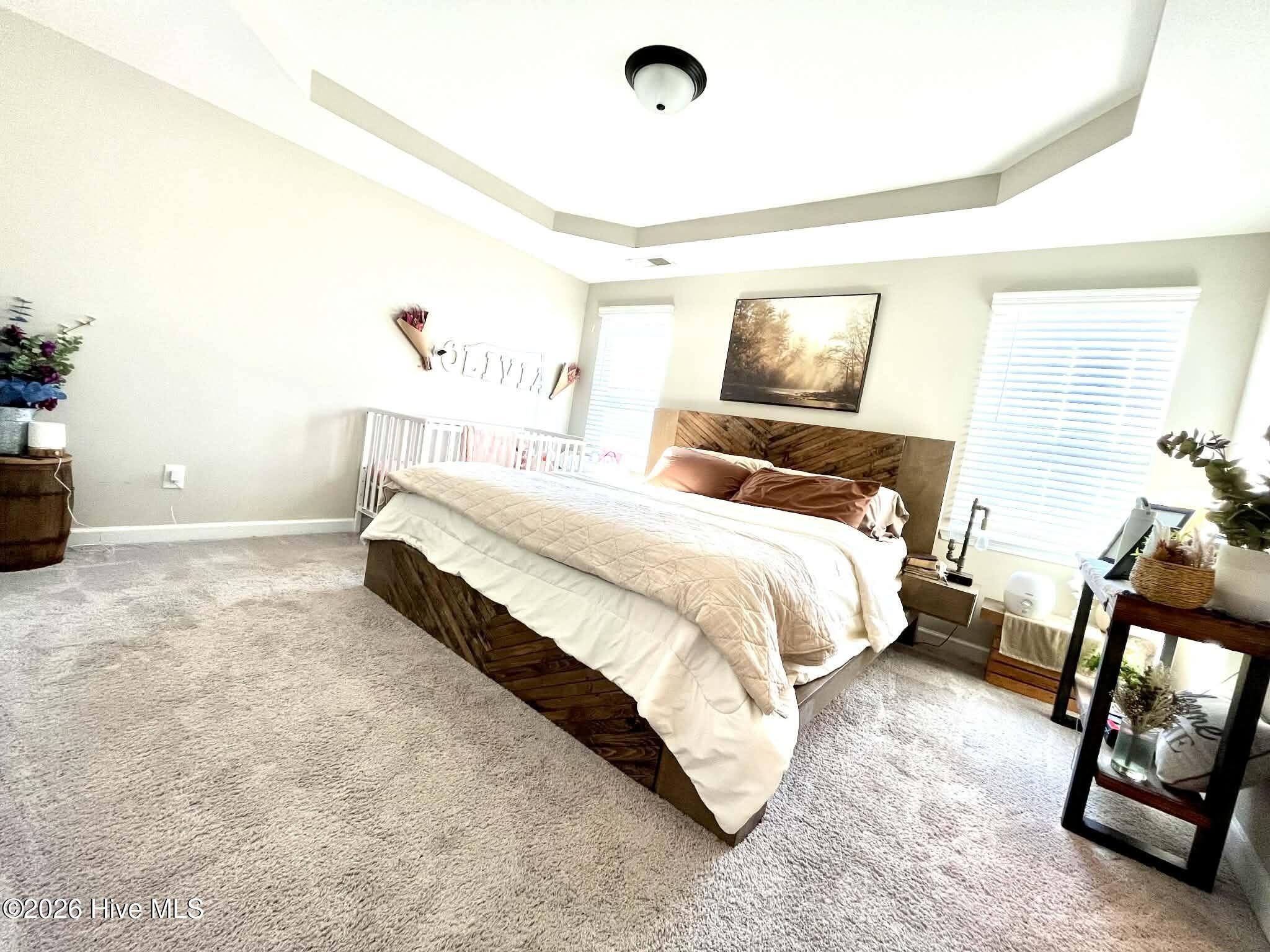 216 Trophy Ridge Drive Richlands, NC 28574 - Photo 6 of 14 3e47c818-d055-4092-869e-cd063f9ba2b6