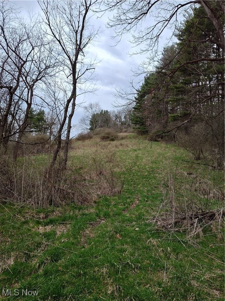 Fargo Road Southwest Mineral City, OH 44656 - Photo 5 of 21