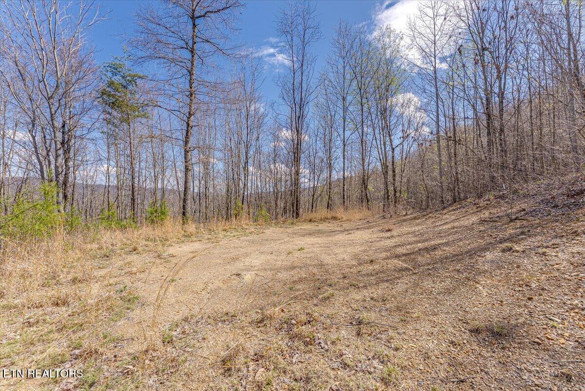 422 Crooked Branch Road Huntsville, TN 37756 - Photo 23 of 35 33-1st Clearing A1
