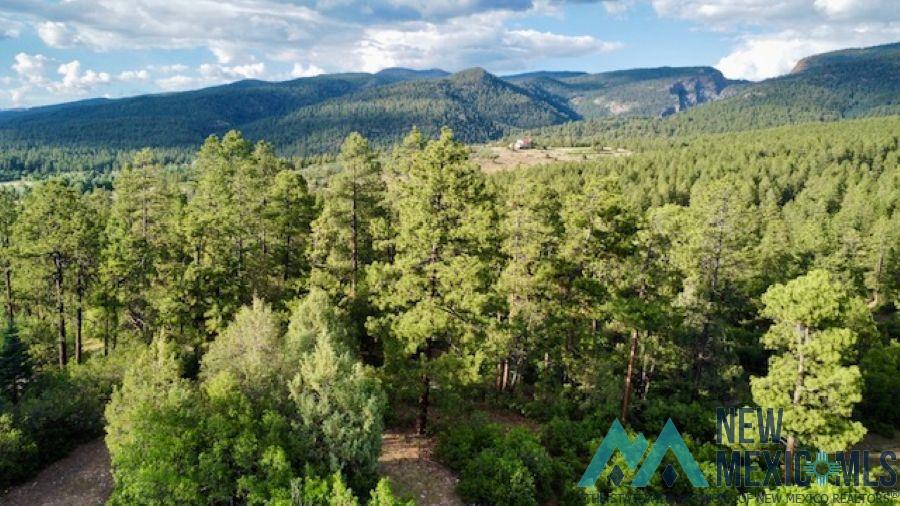 Tbd Tbd Log Ridge Trail Chama, NM 87520 - Photo 6 of 6 Gallery Image 6