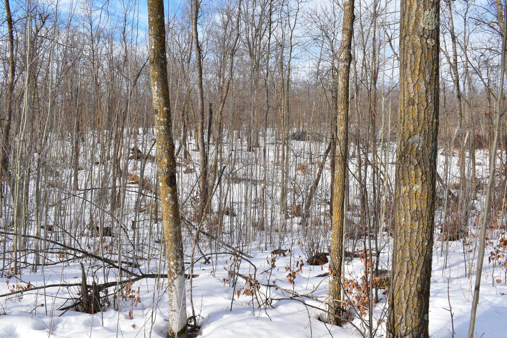 26 Co Highway 26 Rochert, MN 56578 - Photo 11 of 15