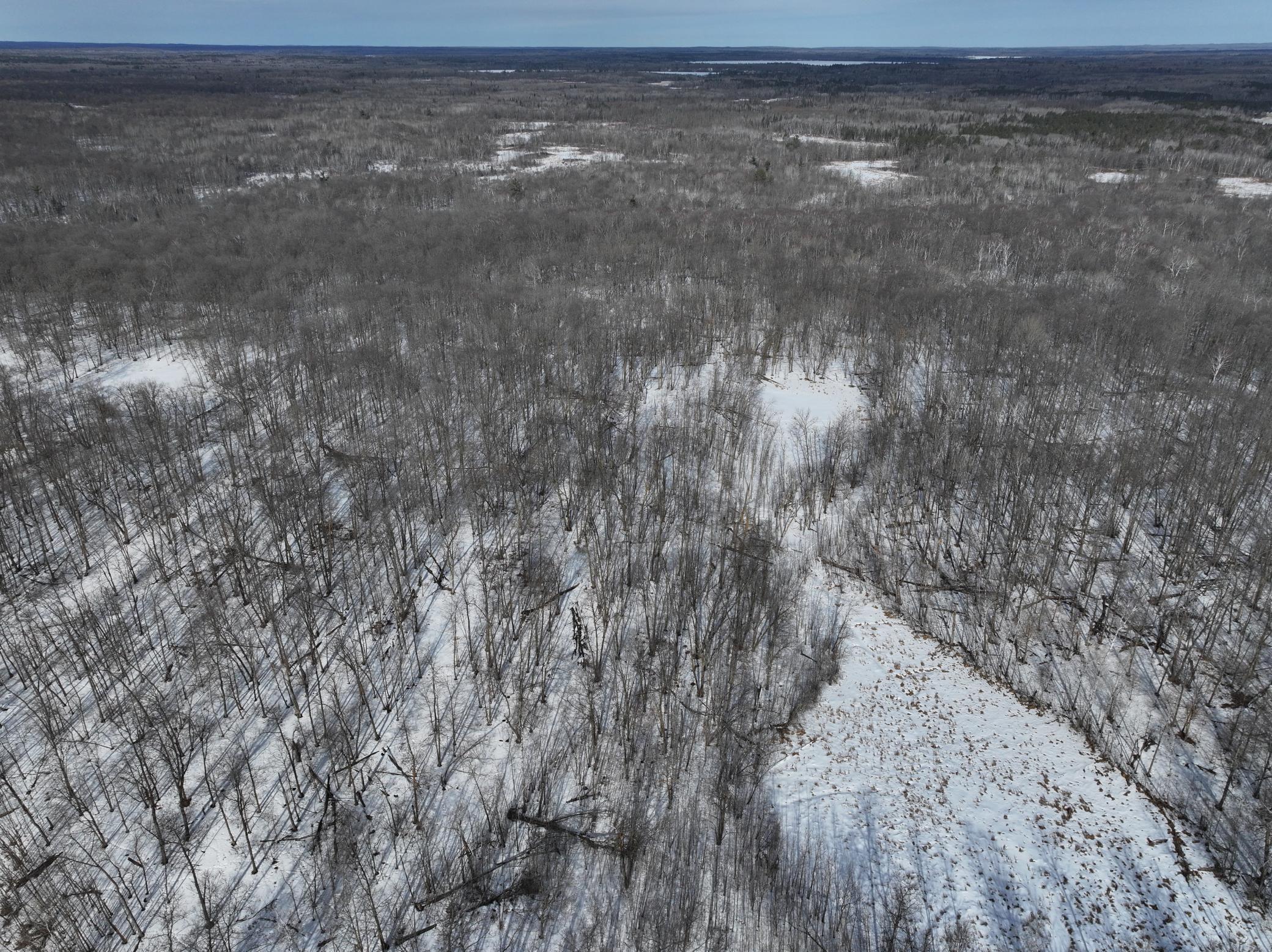 26 Co Highway 26 Rochert, MN 56578 - Photo 3 of 15