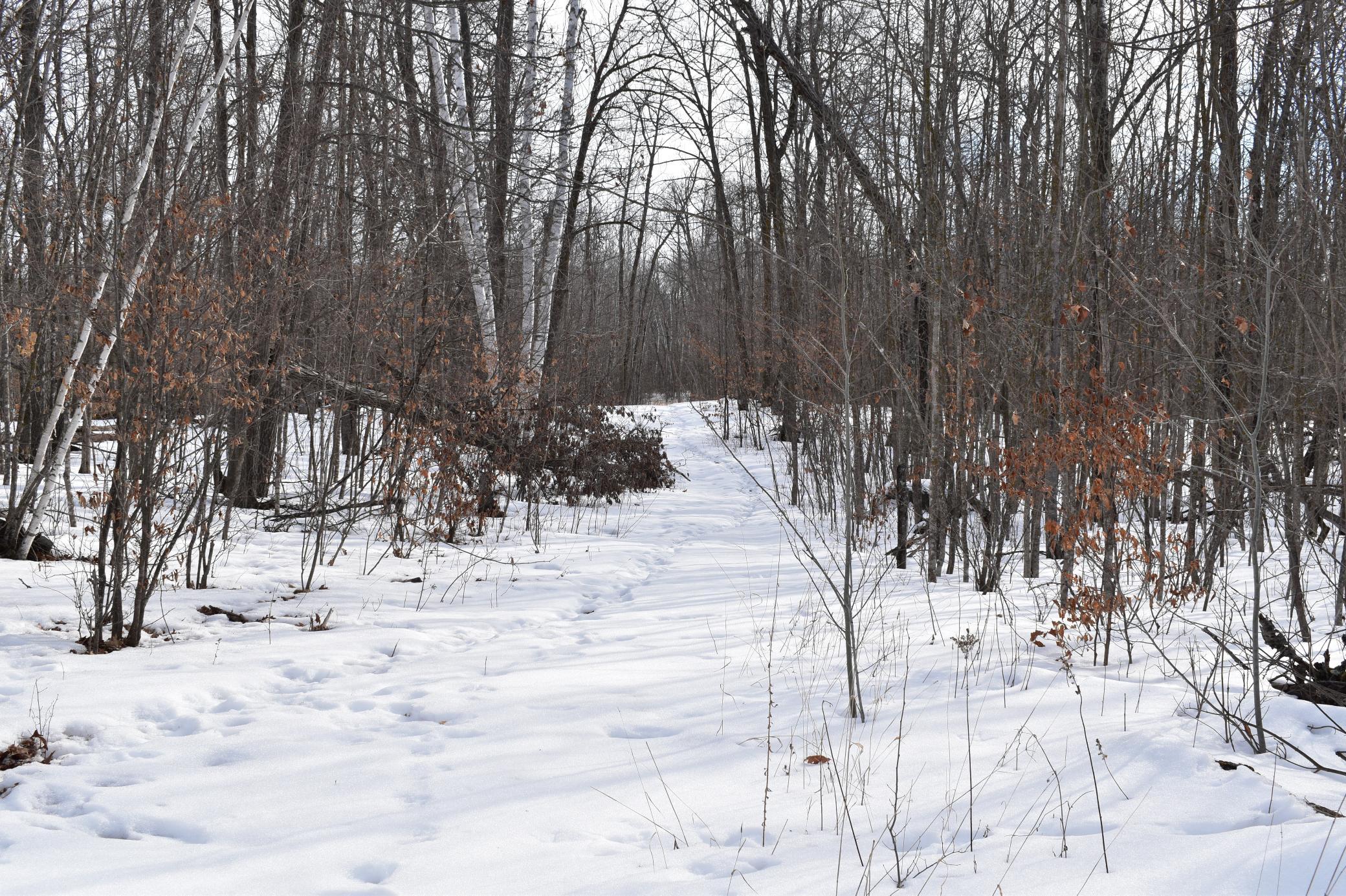 26 Co Highway 26 Rochert, MN 56578 - Photo 7 of 15