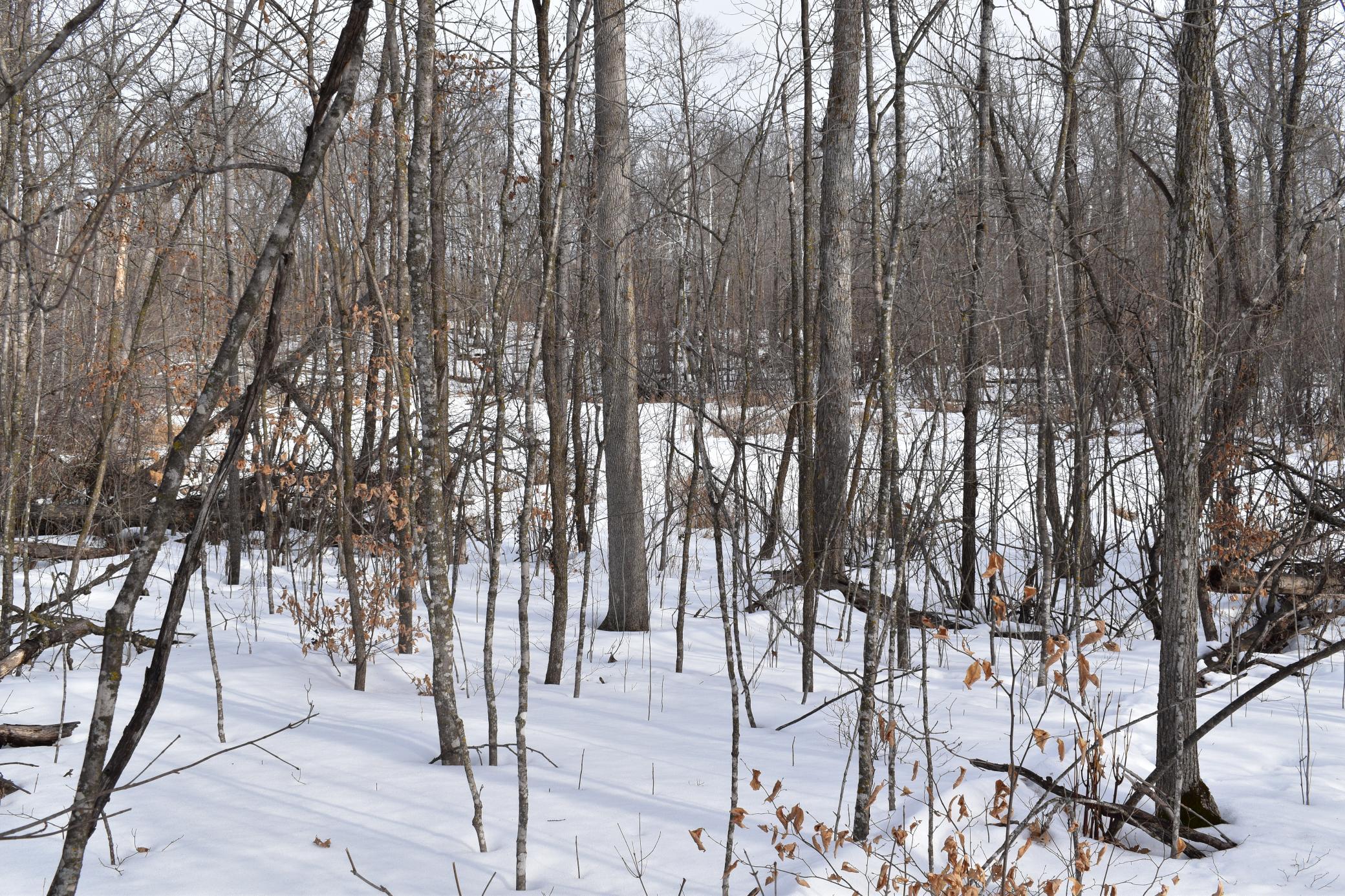 26 Co Highway 26 Rochert, MN 56578 - Photo 8 of 15