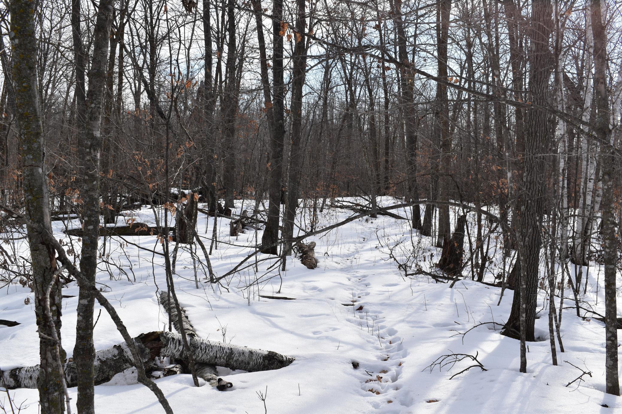 26 Co Highway 26 Rochert, MN 56578 - Photo 9 of 15