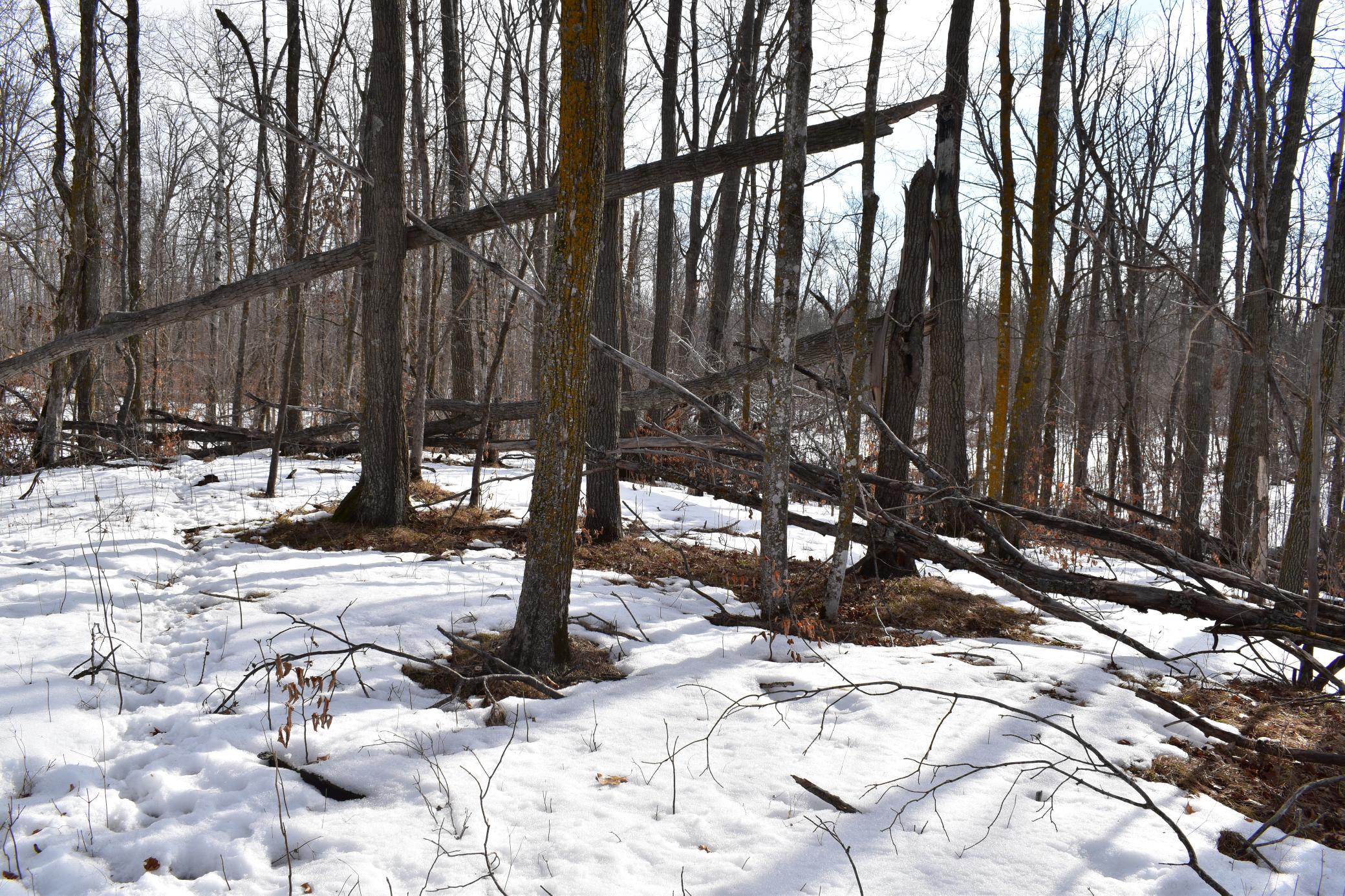 26 Co Highway 26 Rochert, MN 56578 - Photo 10 of 15