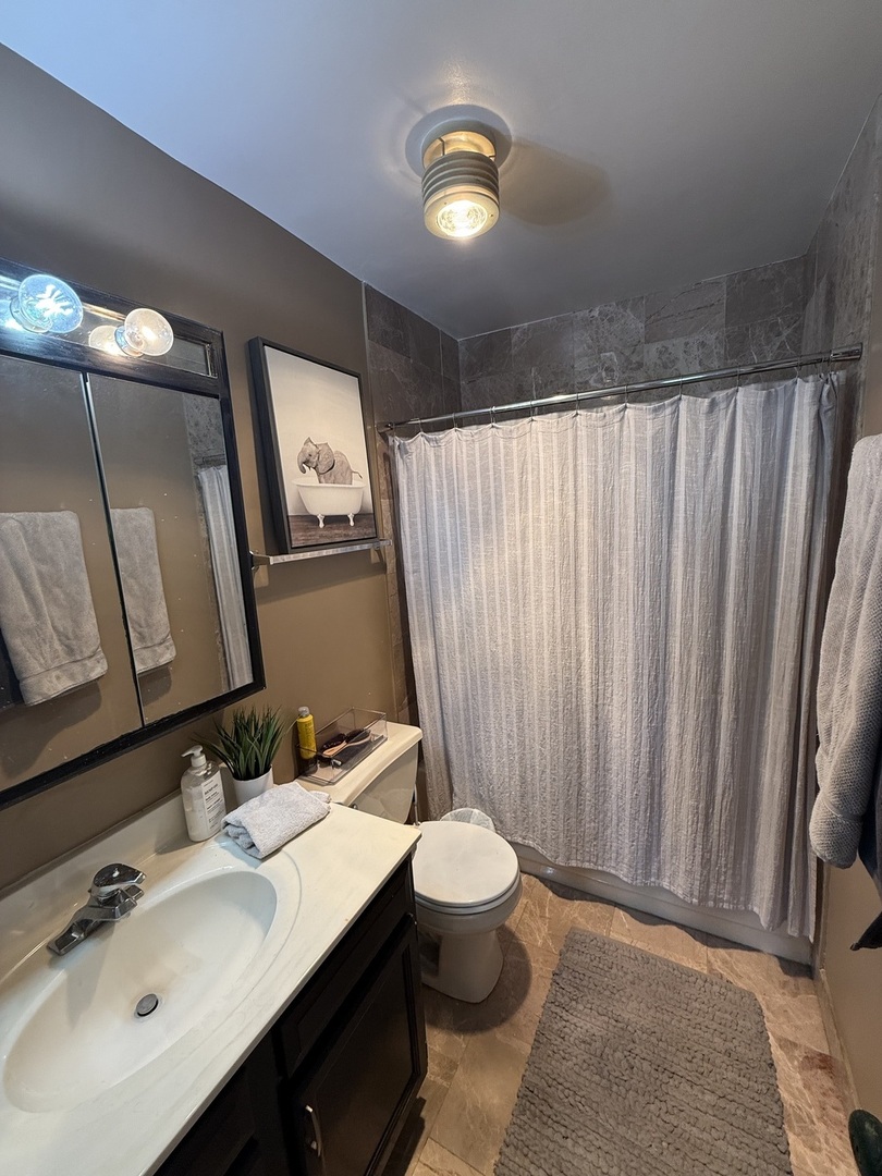 3001 South Michigan Avenue, Unit 2104 Chicago, IL 60616 - Photo 11 of 15 a bathroom with a sink vanity mirror and toilet