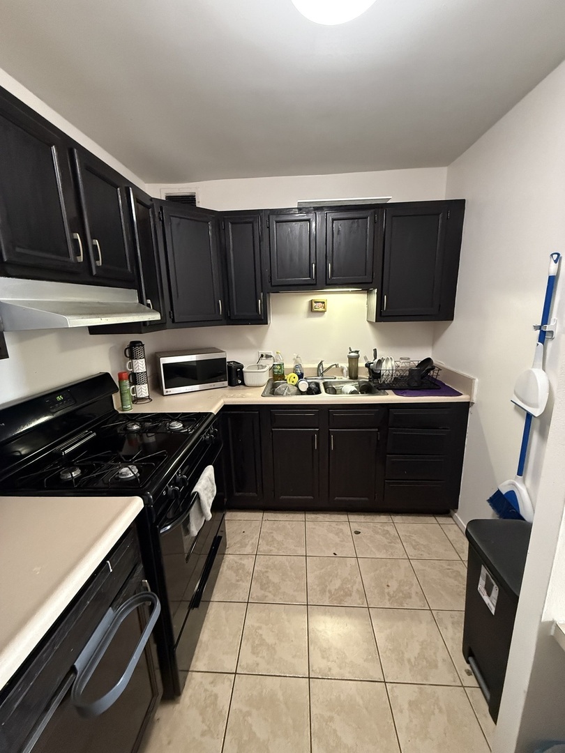 3001 South Michigan Avenue, Unit 2104 Chicago, IL 60616 - Photo 7 of 15 a kitchen with a sink and a stove