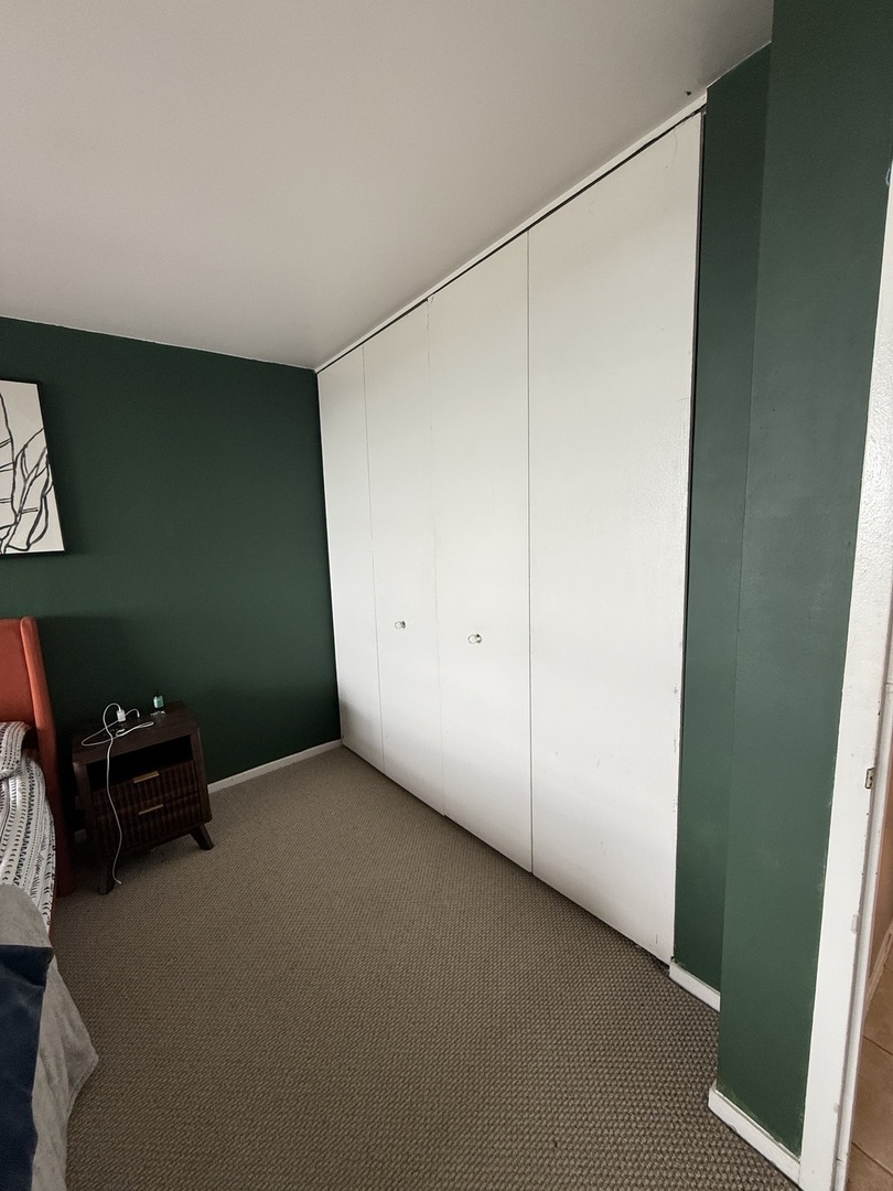 3001 South Michigan Avenue, Unit 2104 Chicago, IL 60616 - Photo 10 of 15 a view of workspace