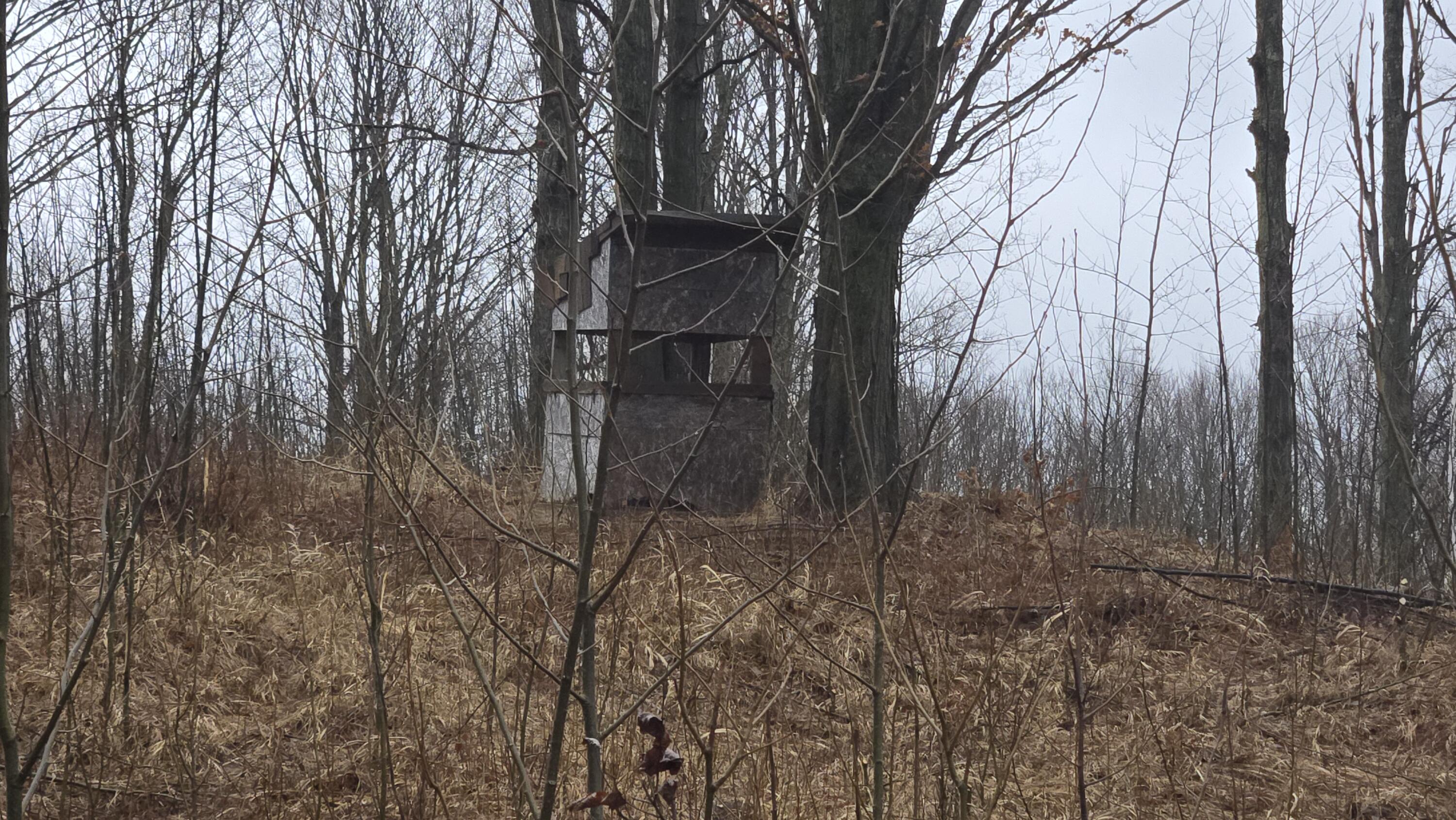 0 20 20 Mile Road Tustin, MI 49688 - Photo 13 of 26 20260307_142417