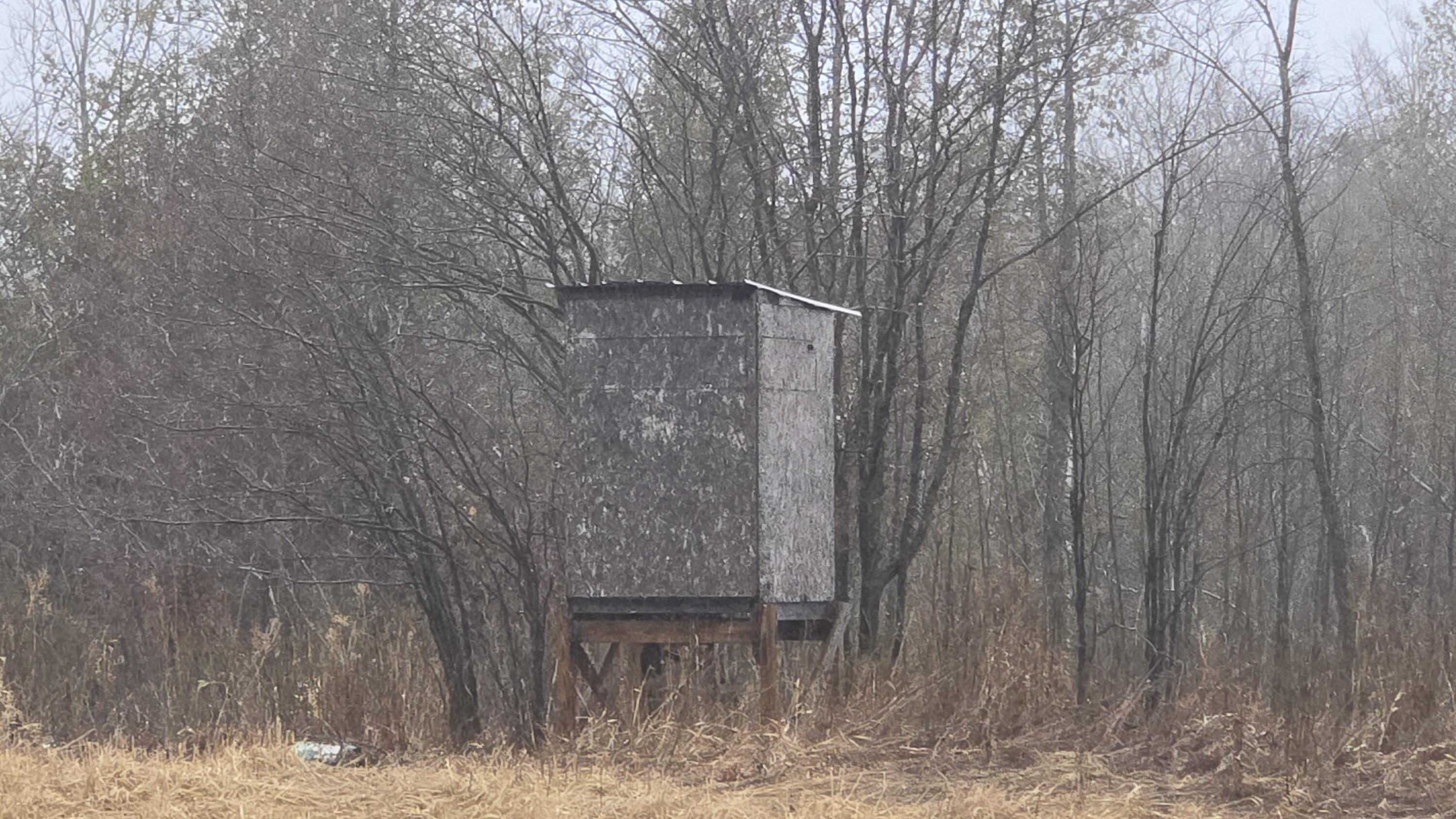 0 20 20 Mile Road Tustin, MI 49688 - Photo 15 of 26 20260307_140604