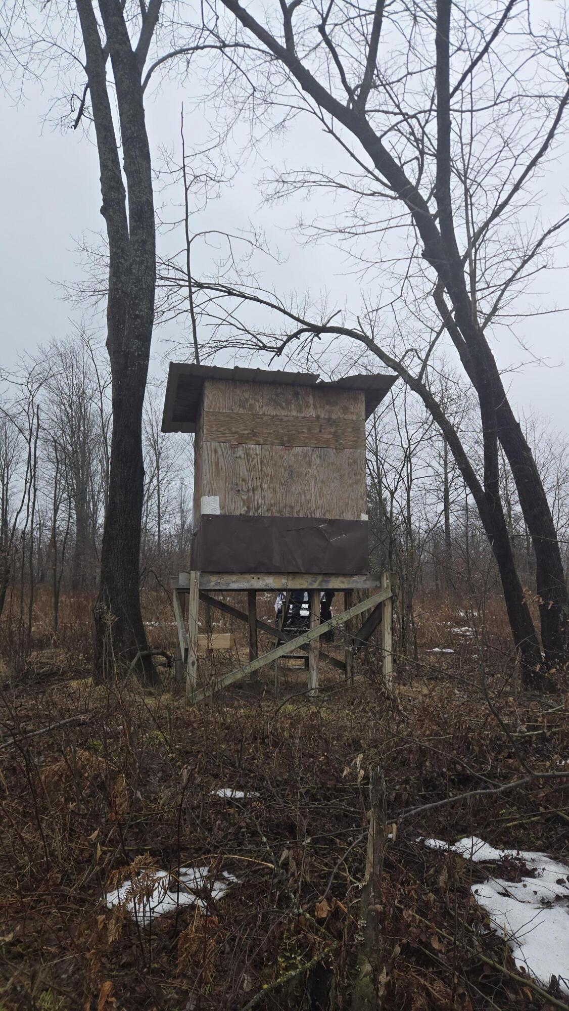 0 20 20 Mile Road Tustin, MI 49688 - Photo 16 of 26 20260307_140100