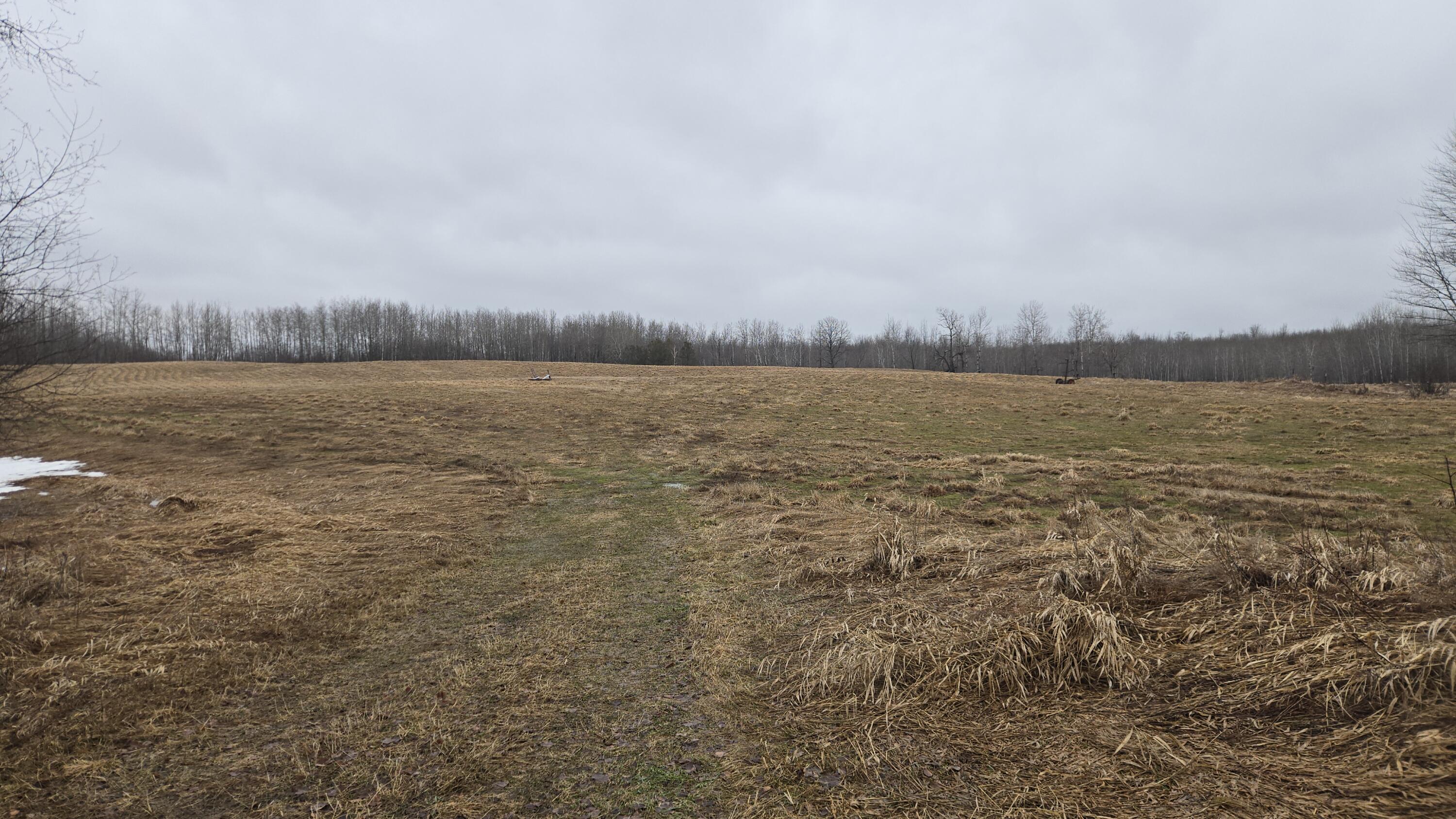 0 20 20 Mile Road Tustin, MI 49688 - Photo 22 of 26 20260307_131408