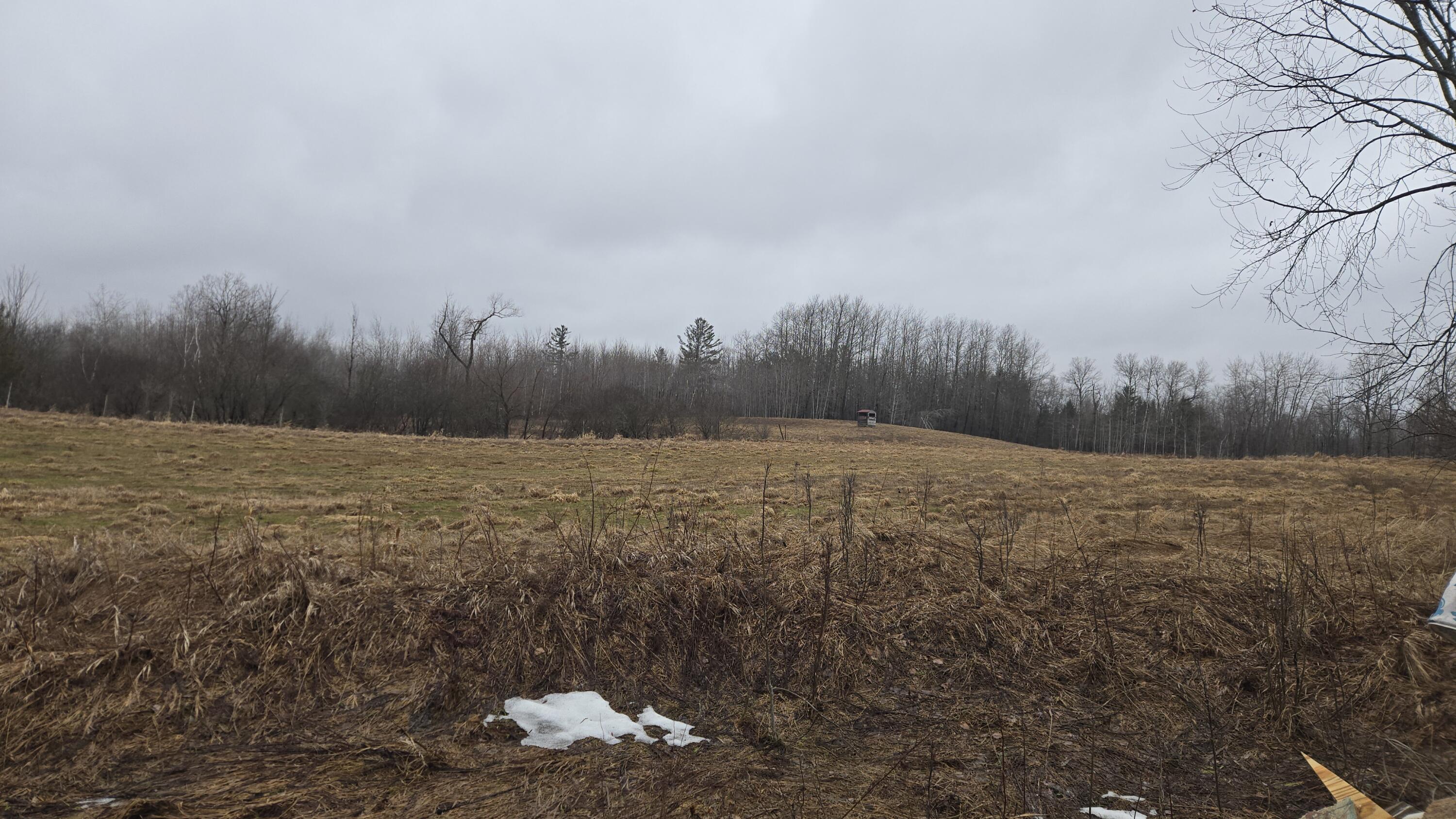 0 20 20 Mile Road Tustin, MI 49688 - Photo 23 of 26 20260307_131405