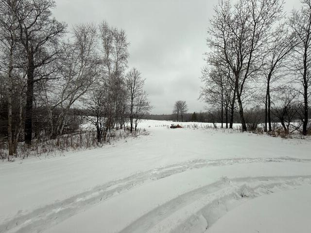 0 20 20 Mile Road Tustin, MI 49688 - Photo 24 of 26 IMG_8172