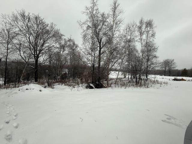 0 20 20 Mile Road Tustin, MI 49688 - Photo 25 of 26 IMG_8169