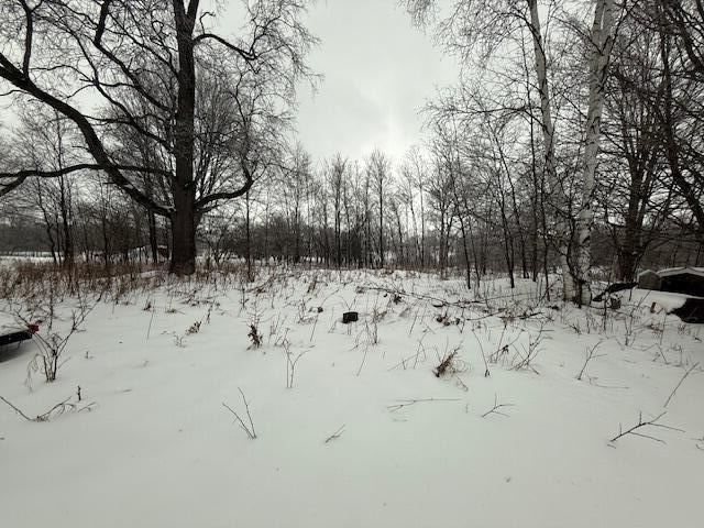 0 20 20 Mile Road Tustin, MI 49688 - Photo 26 of 26 IMG_8168