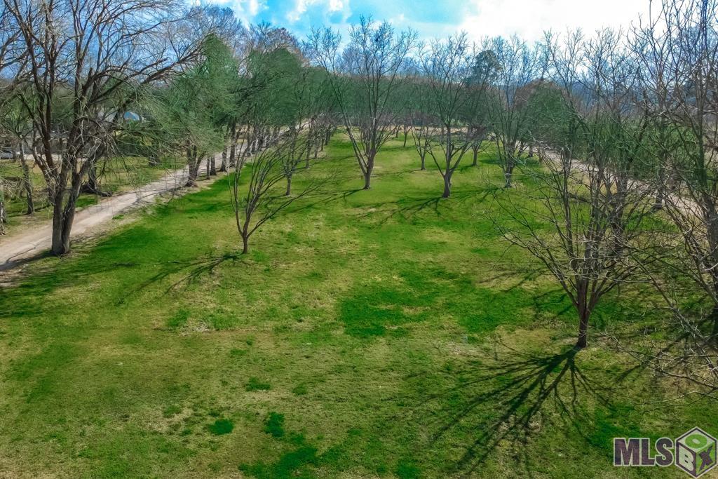 14204 Patin Dyke Road Ventress, LA 70783 - Photo 2 of 28