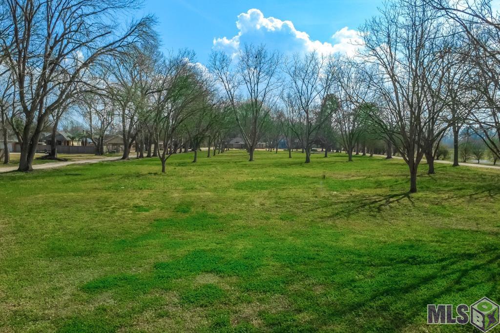 14204 Patin Dyke Road Ventress, LA 70783 - Photo 3 of 28