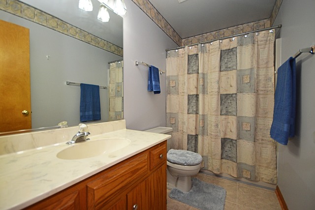 1710 Chestnut Hill Road Plainfield, IL 60586 - Photo 18 of 25 a bathroom with a sink toilet and shower