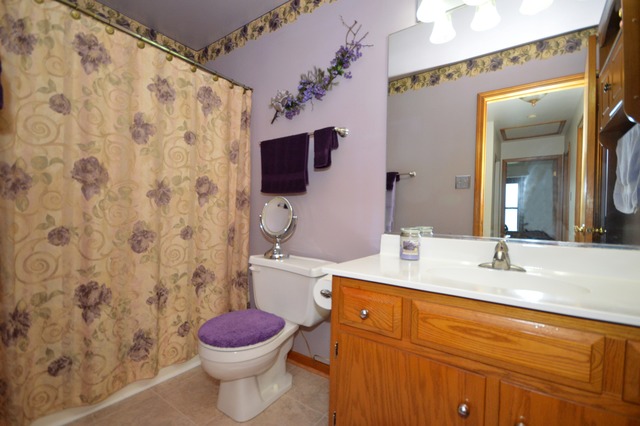 1710 Chestnut Hill Road Plainfield, IL 60586 - Photo 21 of 25 a bathroom with a sink a toilet and a mirror