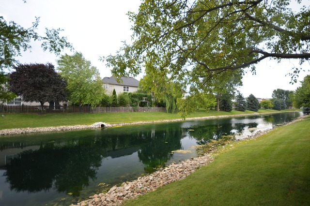 1710 Chestnut Hill Road Plainfield, IL 60586 - Photo 24 of 25 a view of a lake with a yard and large trees