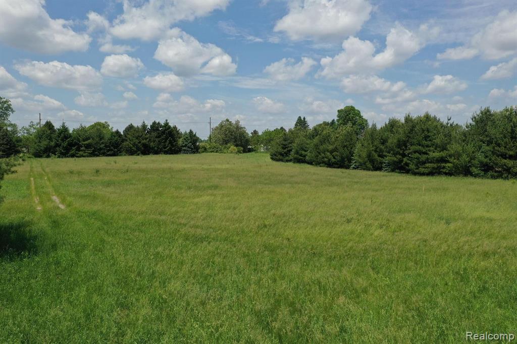 3115 South Latson Road Howell, MI 48855 - Photo 5 of 14