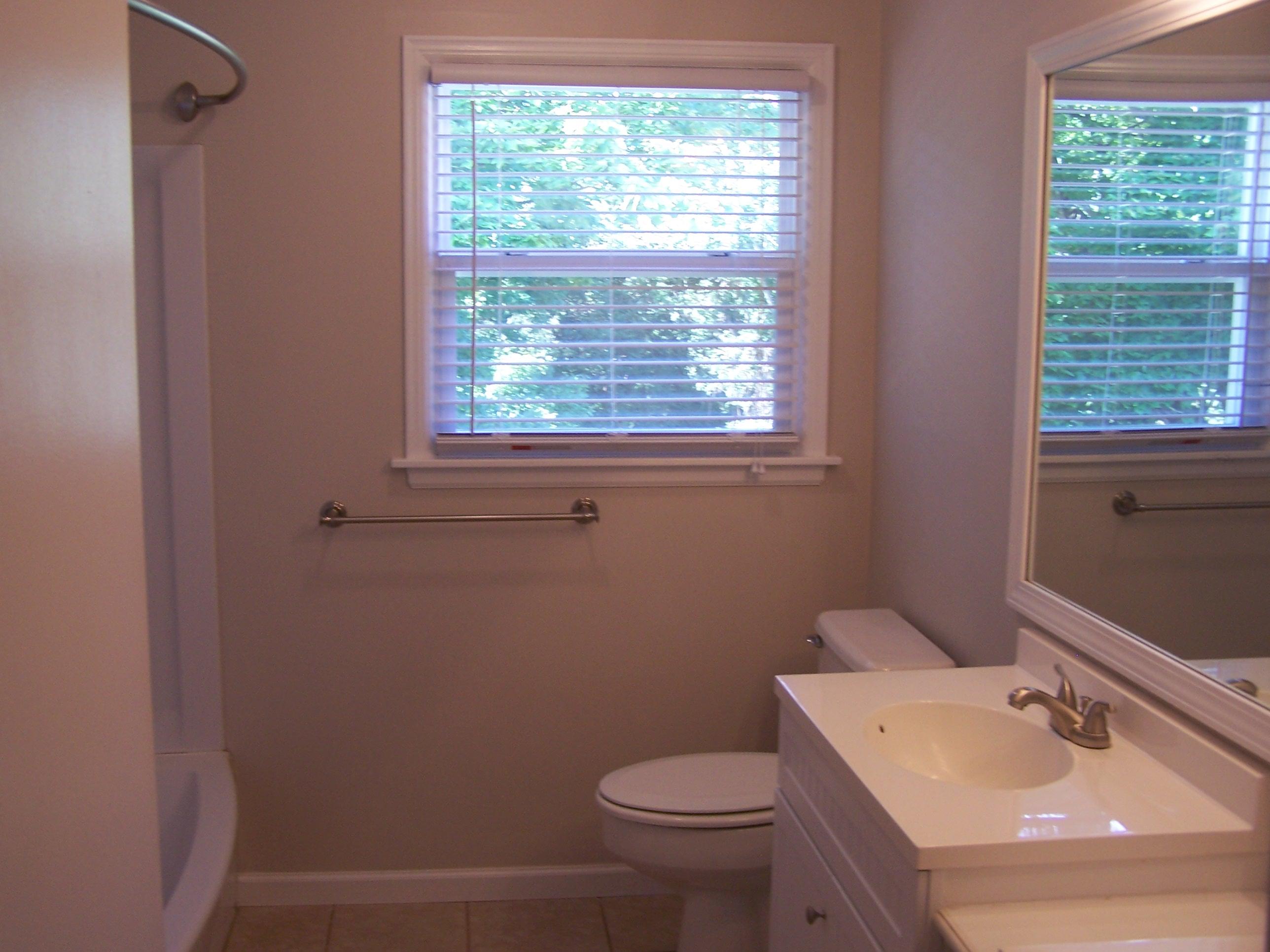 300 Ridge Drive Goodview, VA 24095 - Photo 12 of 19 a bathroom with a sink toilet and window