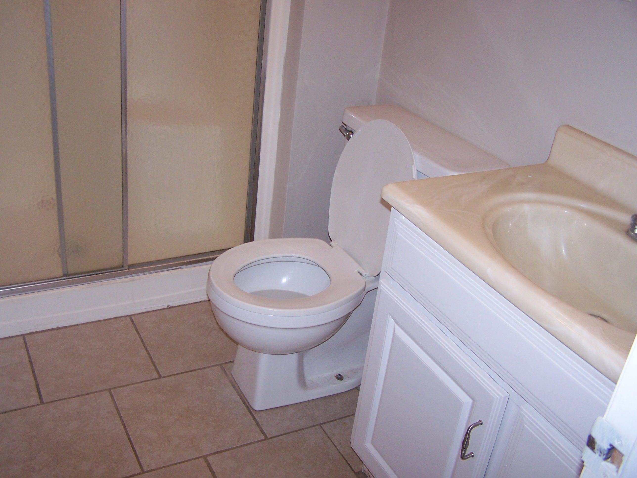 300 Ridge Drive Goodview, VA 24095 - Photo 18 of 19 a bathroom with a sink and a toilet