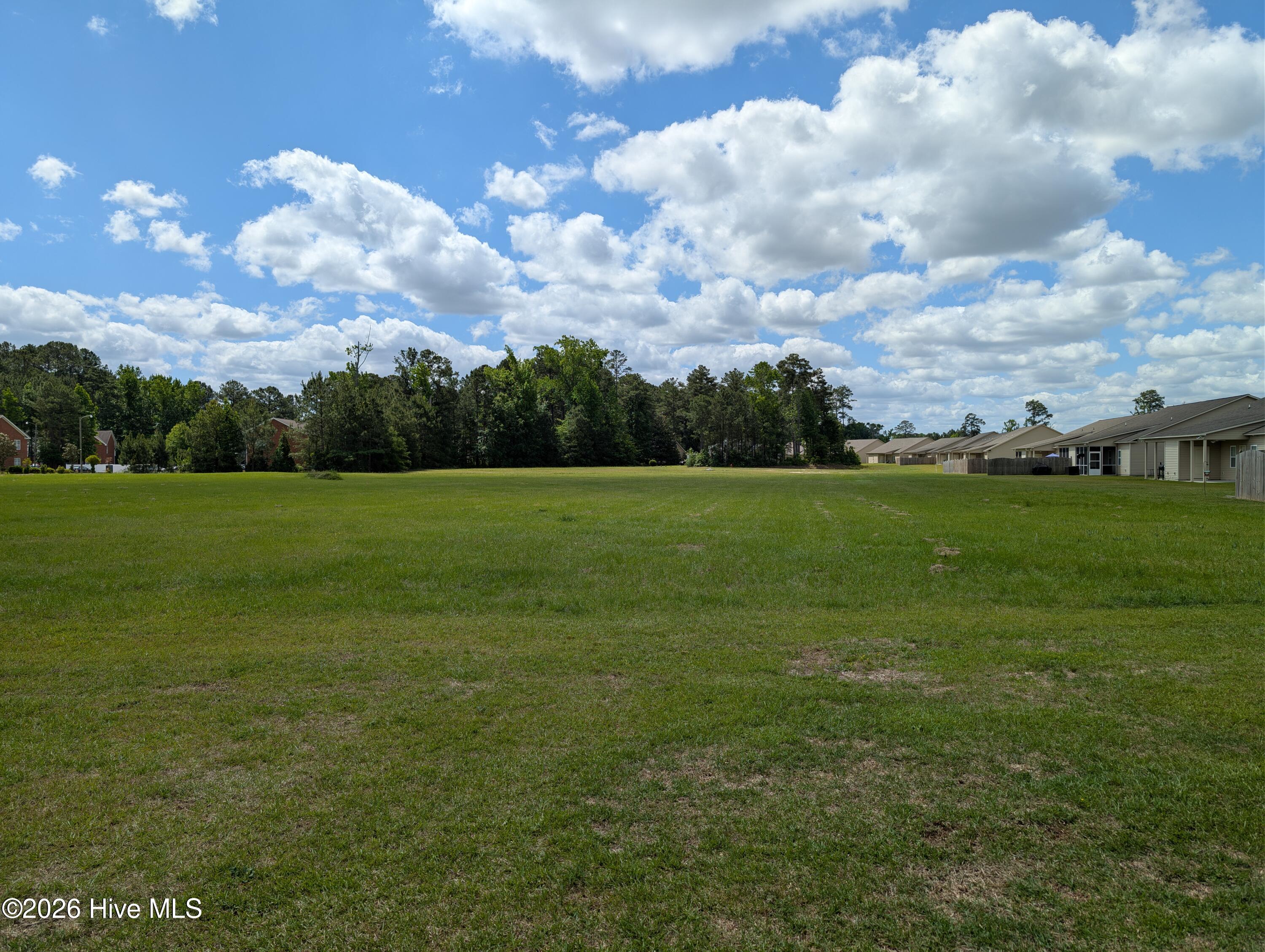 3709 Nantucket Road, Unit A Greenville, NC 27834 - Photo 20 of 20 Back Patio View