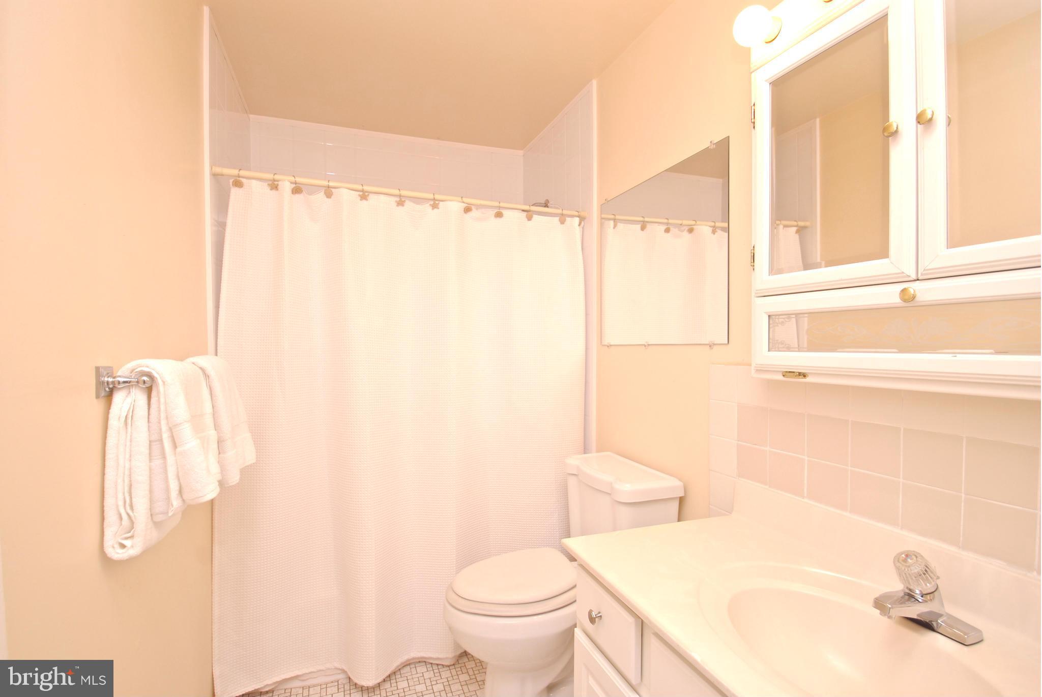 533 Wilson Road Annapolis, MD 21401 - Photo 10 of 21 Bath in hall of first level!