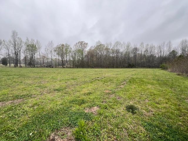 80 Macon Ridge Cove Williston, TN 38076 - Photo 3 of 5 a view of a field with trees in the background
