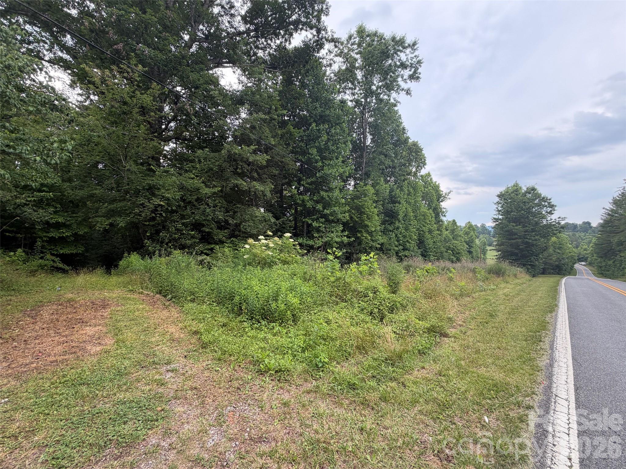 Lot 1 Parker Padgett Road Old Fort, NC 28762 - Photo 2 of 8