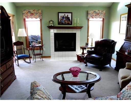 9119 Willoughby Road Pittsburgh, PA 15237 - Photo 2 of 8 Living Room. A cathedral ceiling with skylights enhance the Liviing Room with fireplace.