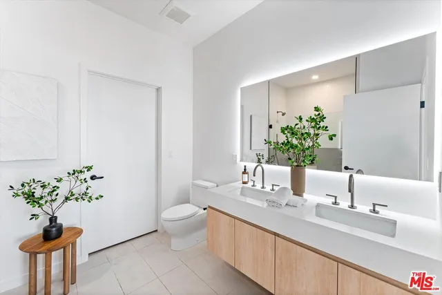 a bathroom with a potted plant on the counter and sink