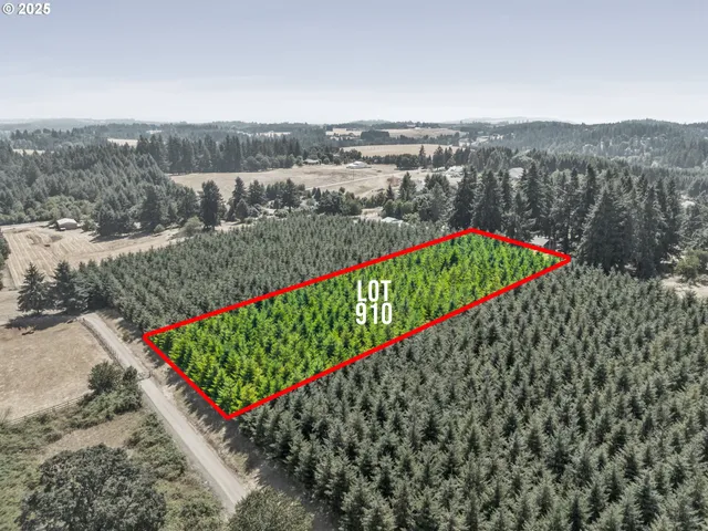 a view of a park with a lush green forest