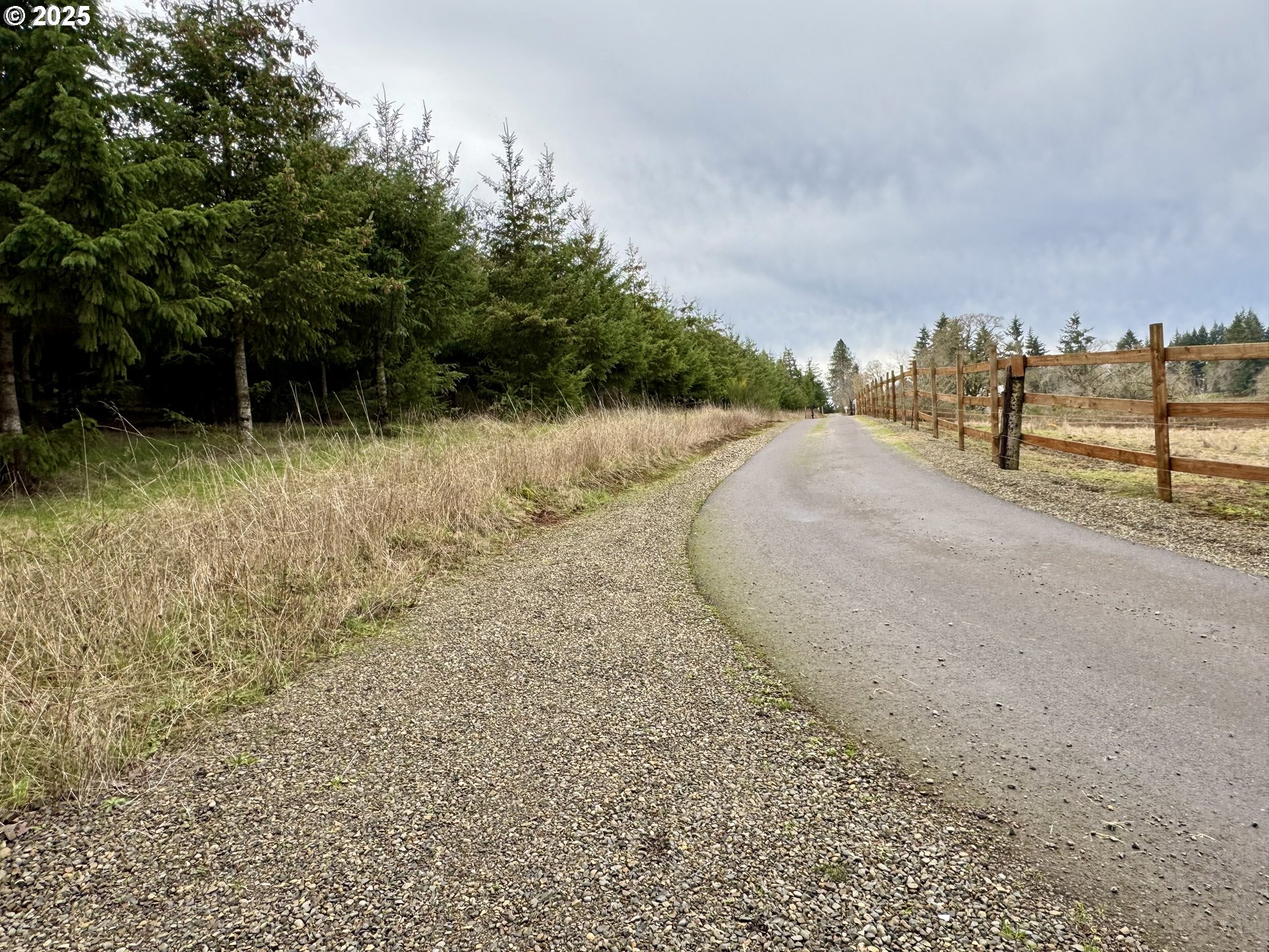 Everett Drive South Salem, OR 97306 - Photo 21 of 29 a view of a yard with large trees