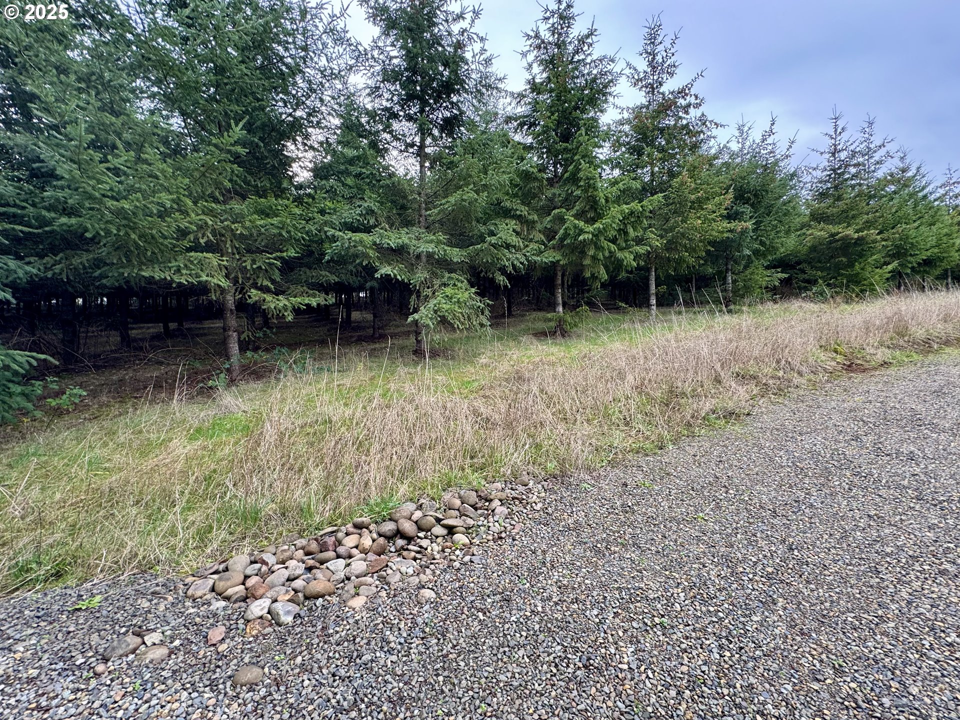 Everett Drive South Salem, OR 97306 - Photo 22 of 29 a backyard of a house with lots of green space