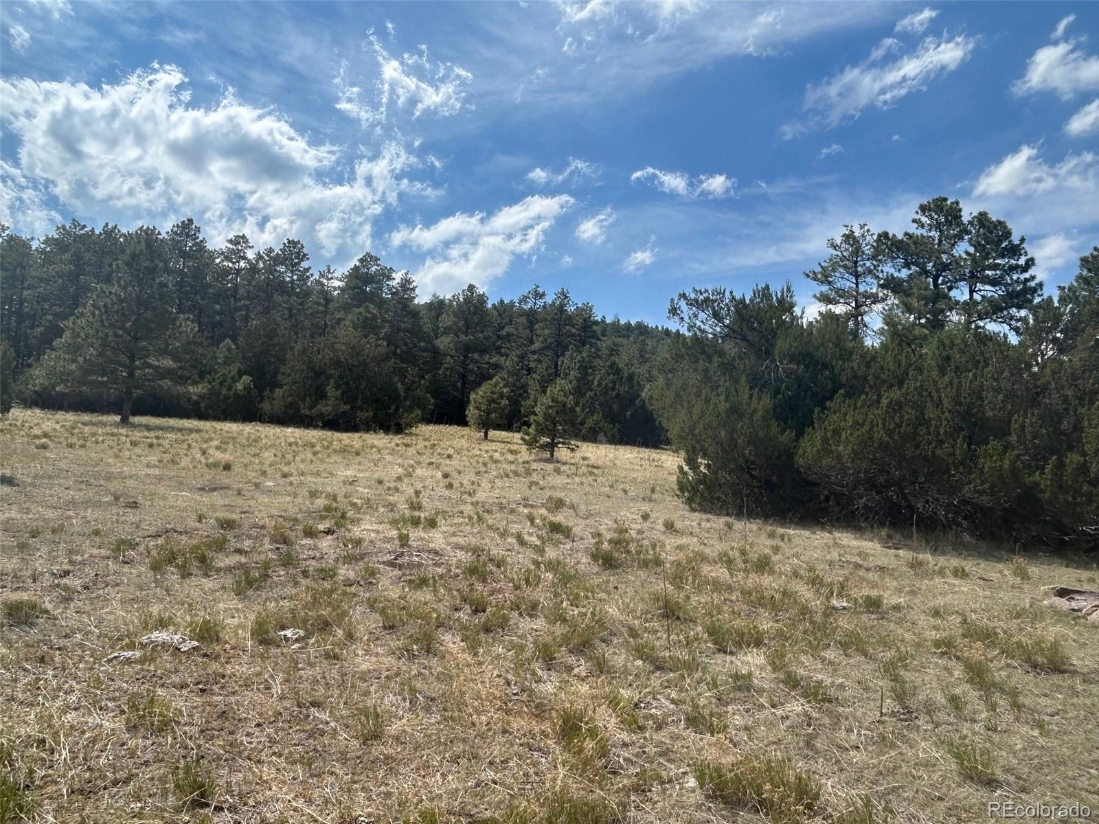Lot 26 Tbd Signal Mountain Ranch Beulah, CO 81023 - Photo 9 of 15
